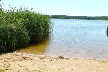 Фото номера Передвижной дом Кемпинги Bajkowe Mazury Domek Holenderski г. Inulec 15